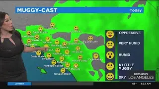 Monsoonal flow moves other Southland bringing muggy weather