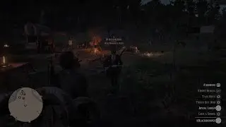 Desperate Tryhards Getting Trolled In My Camp ● Red Dead Online