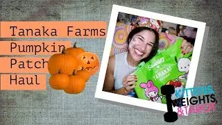 Tanaka Farms Pumpkin Patch🎃 Haul!