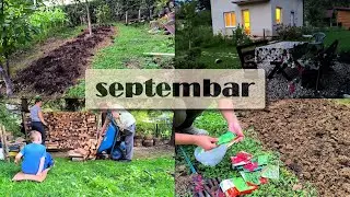 Septembarske sjetve, berbe i prihrana; priprema povrća za zamrzivač, radna akcija, slaganje drva