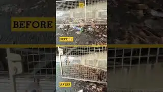 Before an After with Trash Hero Zurich