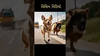 અસામાન્ય વિડીયો- AI Tool ની કમાલ