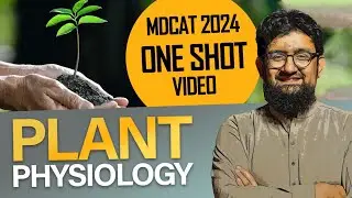 Plant Physiology | One Shot Video