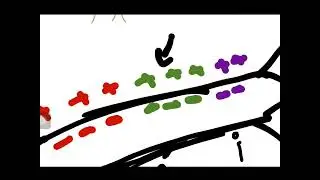 propagation of action potential (part1) 