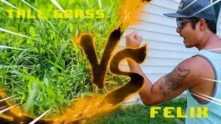 Felix vs The Lawn - Vlaugust Day 6