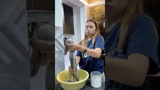 Octopus na naman Ang pinag iinitan ni Madam at INOPERAHAN | Ms.feelingera