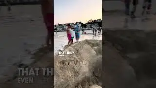 They dug a massive hole on a beach in France 😱