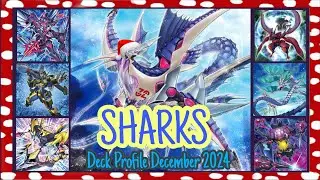 Shark Deck Profile - December 2024 Yu-Gi-Oh!