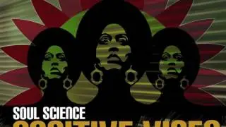 Soul Science - Positive Vibes (Original Mix)