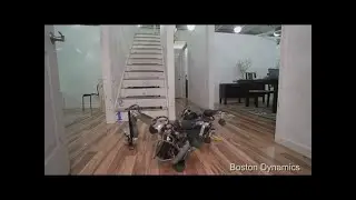 Robot Dog Doesn't Like Bananas