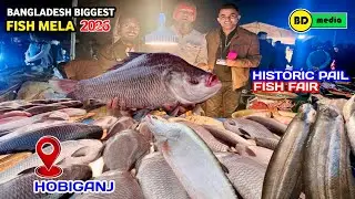 Bangladesh Biggest Fish Mela 2026 | Historic Hobiganj Pail Fish Fair হবিগঞ্জ পইল মাছের মেলা 2026