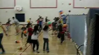 BEACH BALL MANIA