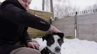 Schronisko dla bezdomnych zwierząt w Jaworznie - mówi Michał Kirker kandydata na prezydenta Jaworzna