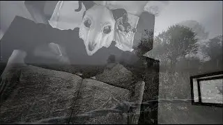 Man On Its Back - It'll Burn (Official Music Video)