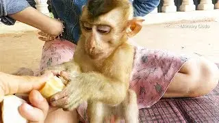 Dodo No Discipline So Mom Need To Do Like This Be Good Behavior
