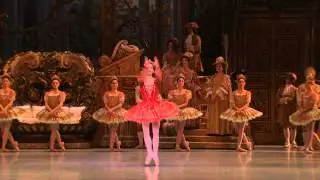 Sleeping beauty fairy variation - Sabrina Mallem