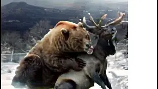 Brutal Bear vs Elk Attack: Realistic AI-Generated Wildlife Drama | Life-Like SIMULATION