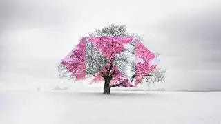 Ar rahman HSBC theme 5