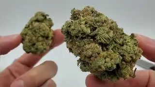 How to buy weed online, order weed online safely, cheap weed and cannabis products online.