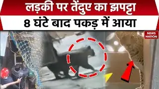 Mumbai के पास Bhayandar में तेंदुए का खौफ, 8 घंटे बाद पकड़ में आया | Leopard Attack | Leopard Terror