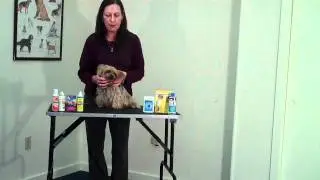 Eye Care Products for Your Pets
