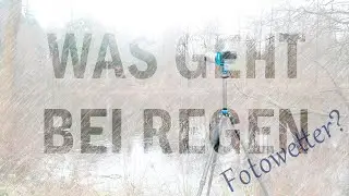 Was geht bei Regen ? Fotografieren im Hasbruch Wald.