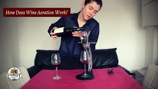 How Wine Aerators Work & Benefits of Wine Aeration (Do You Need One?)