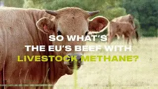 High Steaks EU