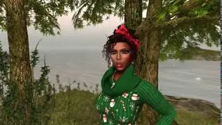 Second Life -  Part 2 Response Video 