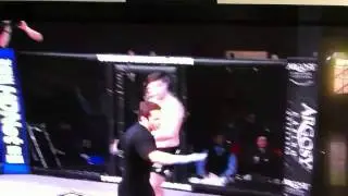 Horrible Officiating from Jason Herzog against Tim Sylvia