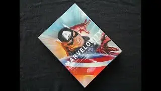 Marvelocity: The Marvel Comics Art of Alex Ross