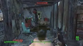 Fallout 4 Ps5 live