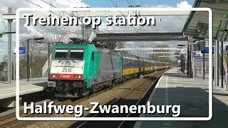 Treinen op station Halfweg-Zwanenburg! // Dutch Train Compilation
