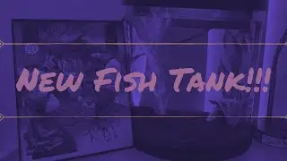Vlog 127 | Unboxing and Setting up the Top Fin Enchant Aquarium