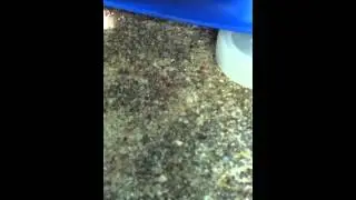 K4S Freestyle