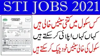 STI application form 2021 |  STI Job application form 2021