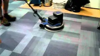 Office Carpet Cleaning