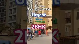 Gaur City 2 Flats Available | White Orchid Apartment Flats Noida Extension | Greater Noida West