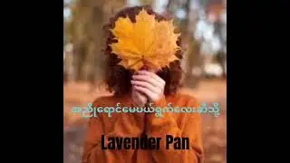 အညိုရောင်မေပယ်ရွက်လေးဆီသို့ Lavender Pan