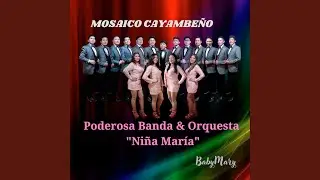 Mosaico Cayambeño