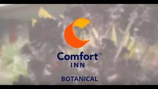 Where to go in Hamilton, Victoria - Comfort Inn Botanical