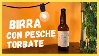 Pesche torbate nella birra! Semplice da bere ma Complessa  da capire | Crazy Onion Beer Review
