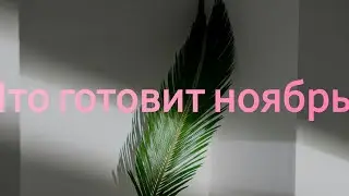 Что готовит НОЯБРЬ ⁉️💞🏡🔮