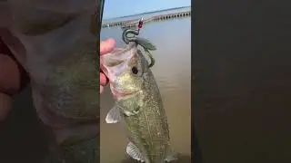 Bass hit a ​@cremelureco.418 ST Creature on the Rez!