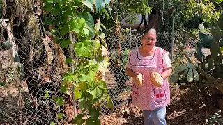 Torresnos de Raiz De Mi Rancho A Tu Cocina