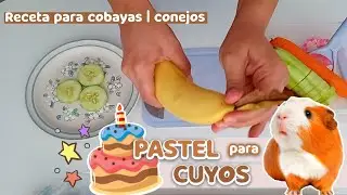 Como hacer un PASTEL o TARTA para CUYOS O CONEJOS