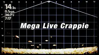Finding Crappie with Humminbird Mega Live - ICE FISHING 2022 Southern Ontario