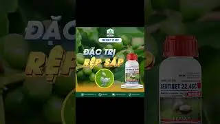 𝐒𝐄𝐍𝐓𝐈𝐍𝐄𝐓 𝟐𝟐.𝟒𝐒𝐂 - ĐẶC TRỊ RỆP S&Aacute;P