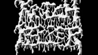 Krotchripper - Echoes of Trollish Wake