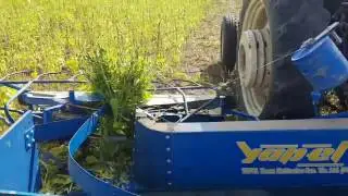 YAPEL TC DG - 140 Makinemiz ile Susam Hasadı Video 1 - SUDAN 20.10.2016